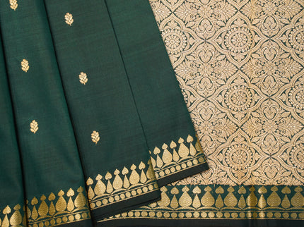 Big Border Kanjeewaram A