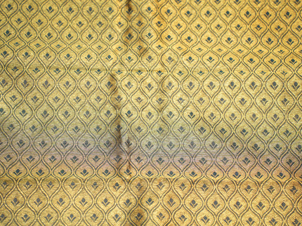 Big Border Kanjeewaram B