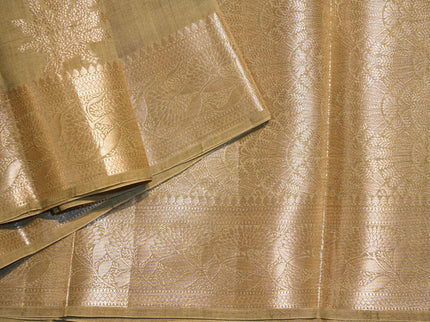 Chiniya  Katan Silk C