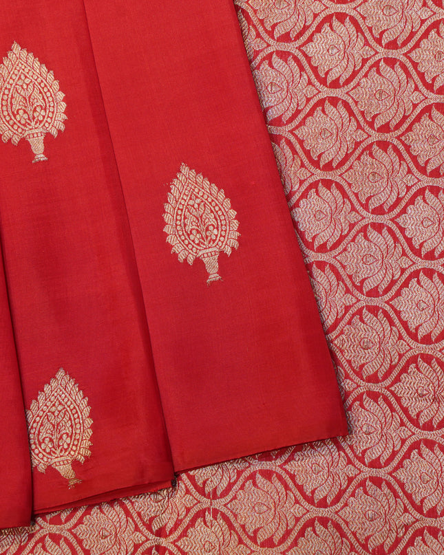 Kora Silk Big Butta B