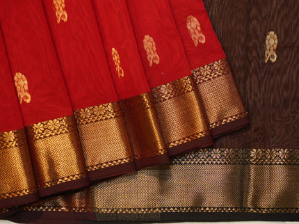 Maheshwari Big border D