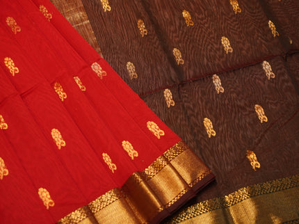 Maheshwari Big border D