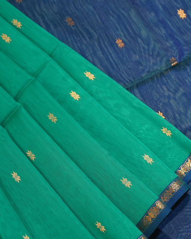 Maheshwari Small border C