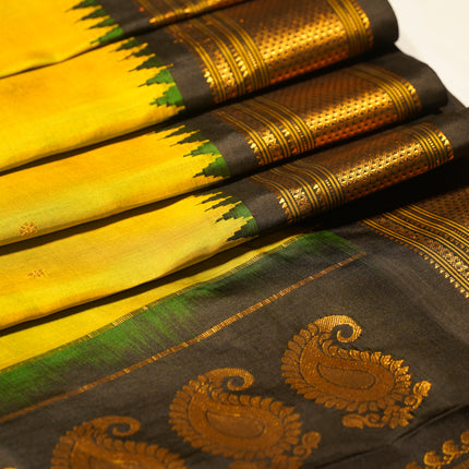 Collection image for: Home page