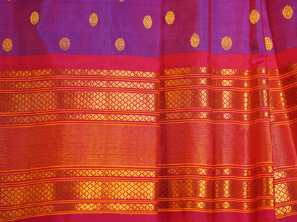 Paithani Big Border B